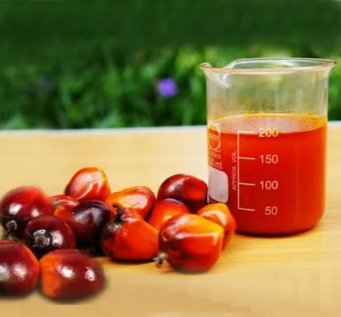 Crude Palm Oil 1.jpeg
