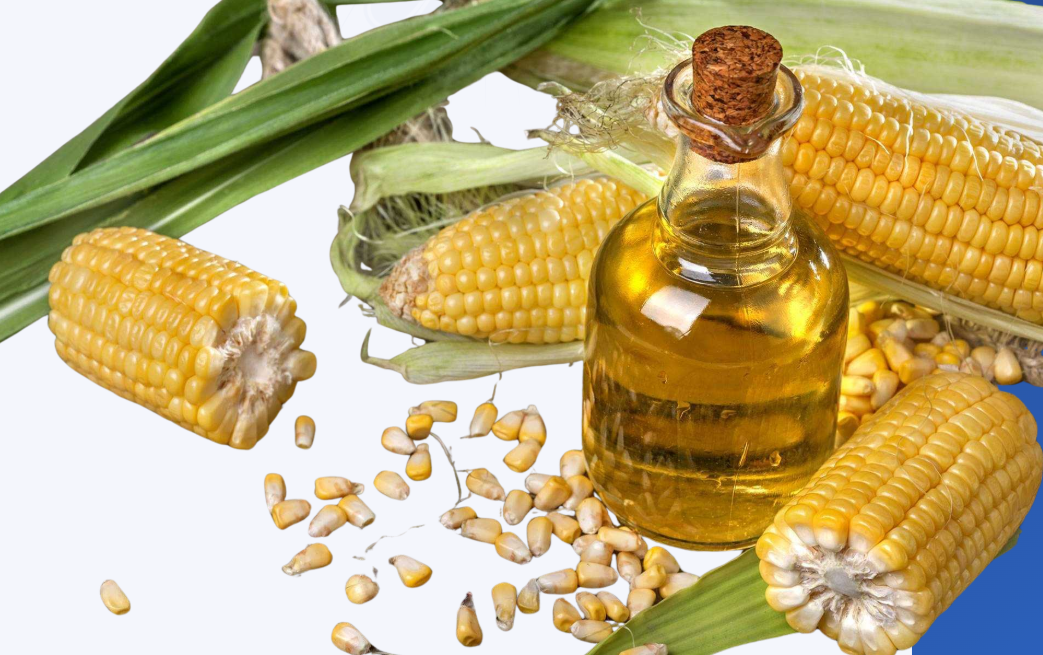 Refined Corn Oil