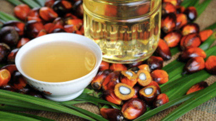 Refined Palm Oil 14.png