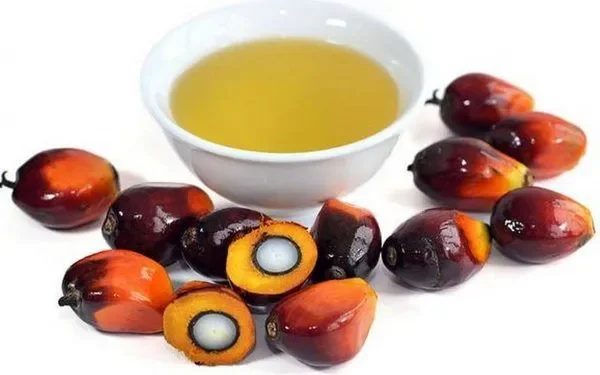 Refined Palm Oil 5.webp