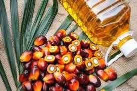 Refined Palm Oil 3.jfif