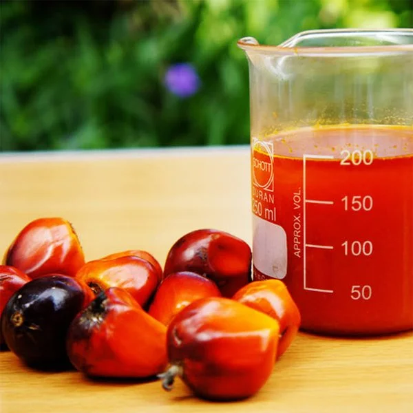 Crude Palm Oil 12.jpg
