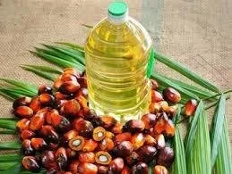 Refined Palm Oil.jpg