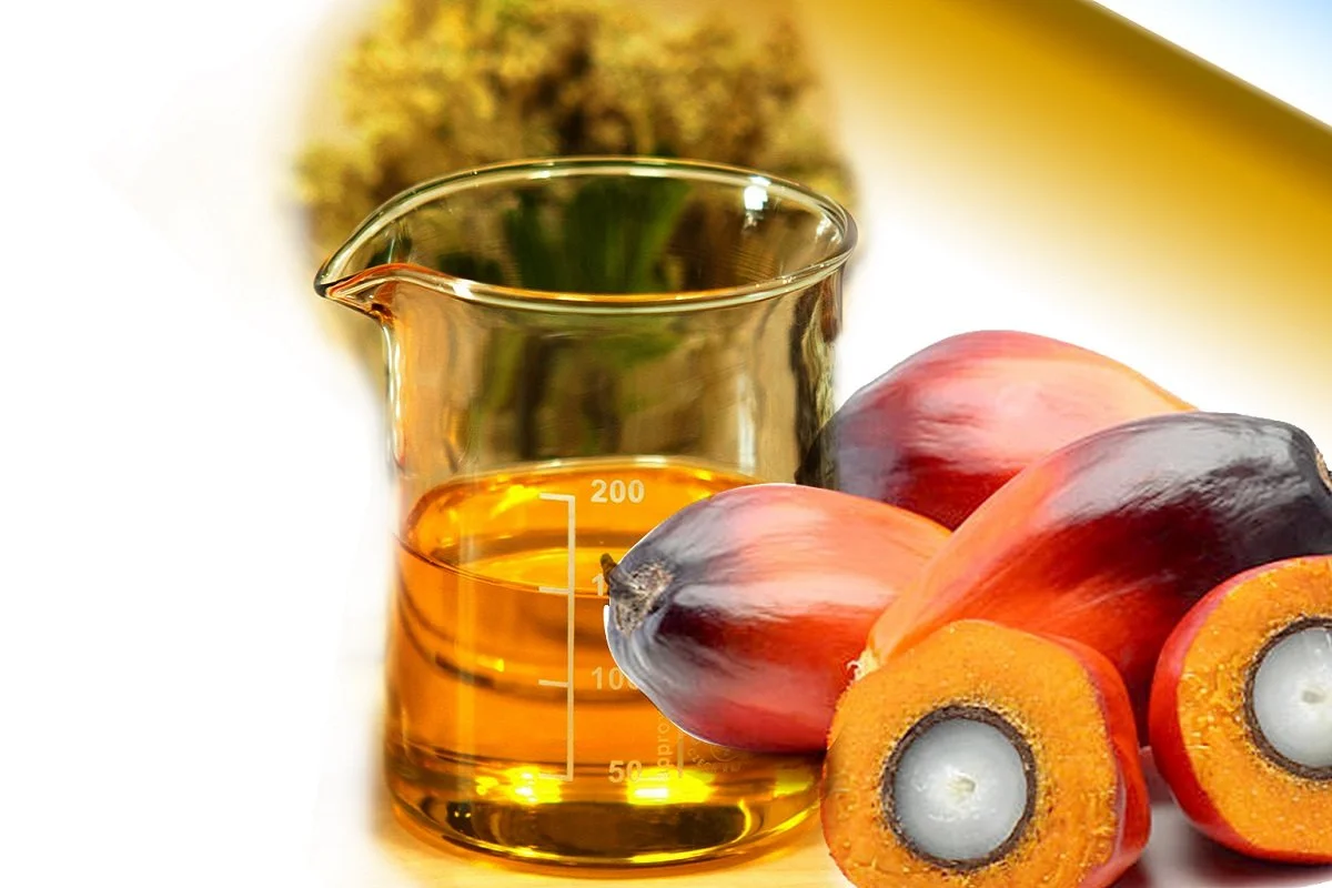 Refined Palm Oil 4.jpg