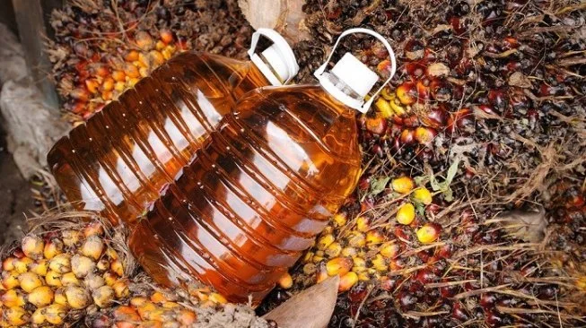 Crude Palm Oil 9.jpg