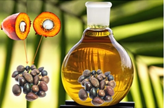 Refined Palm Kernel Oil