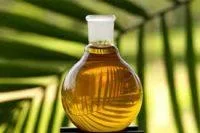 Refined Palm Kernel Oil 1.webp