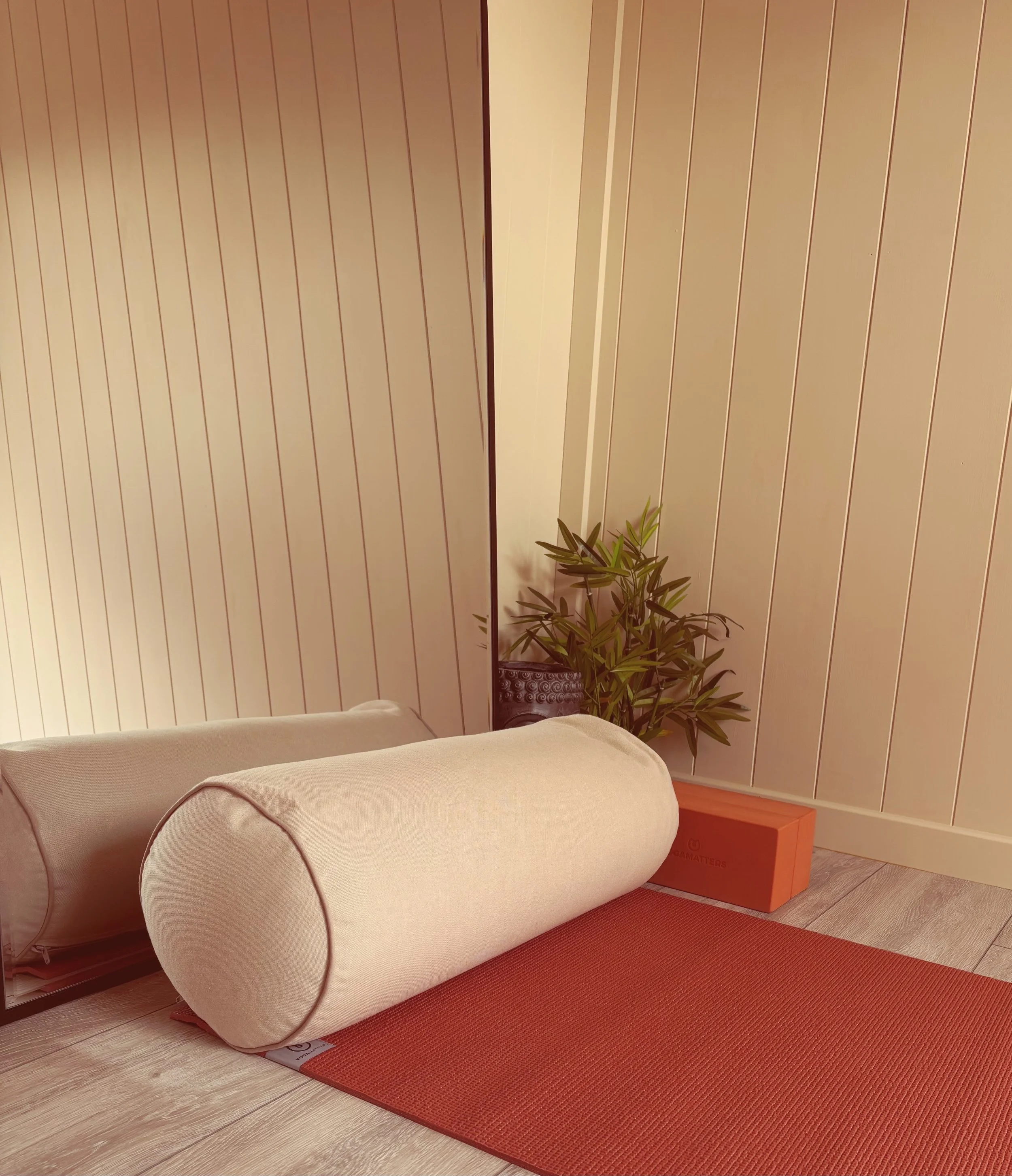 In Person Pre & Postnatal Yoga