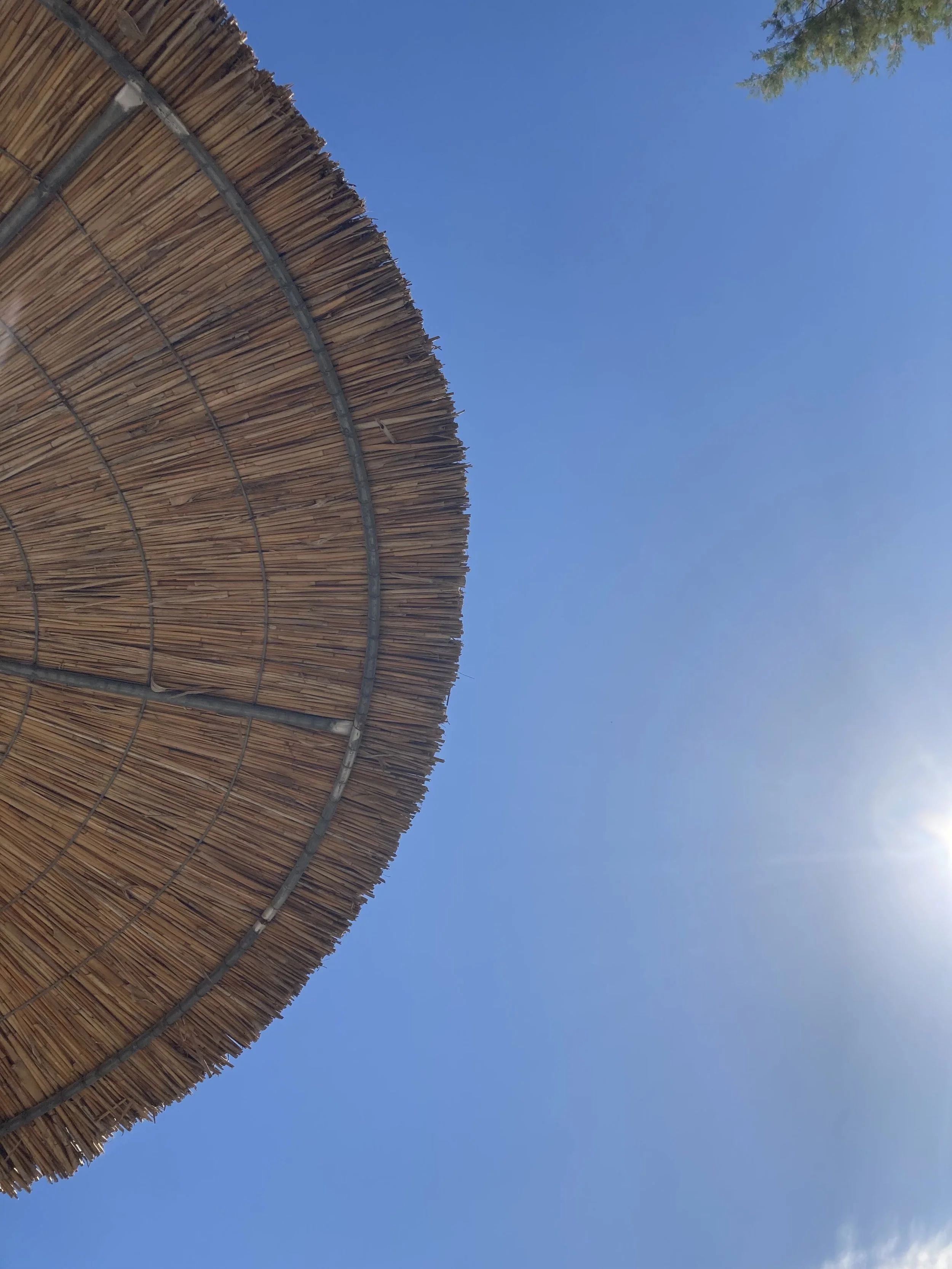 Close-up of a thatched sunshade or umbrella against a clear blue sky with a small part of a tree visible.