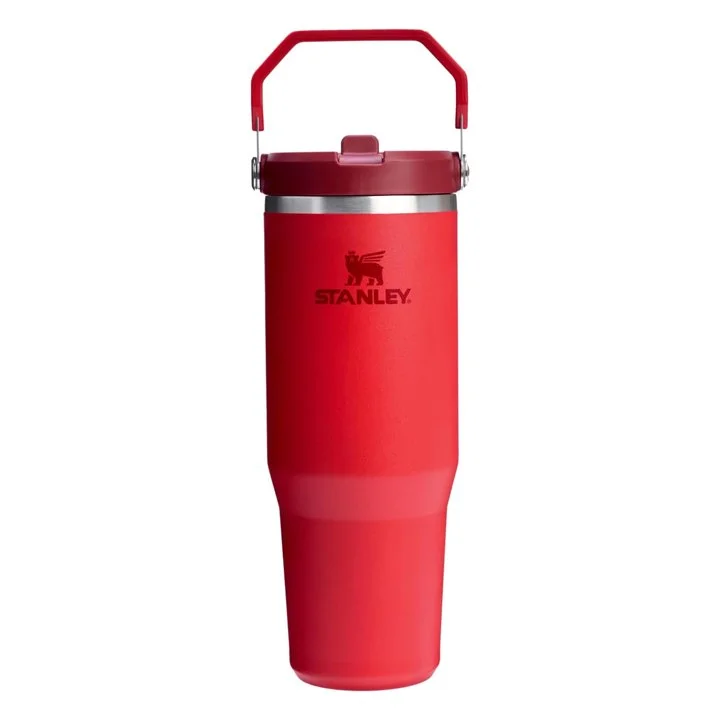 Heather’s Pick: Stanley Iceflow Flip Straw