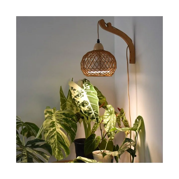 Plant Grow Light