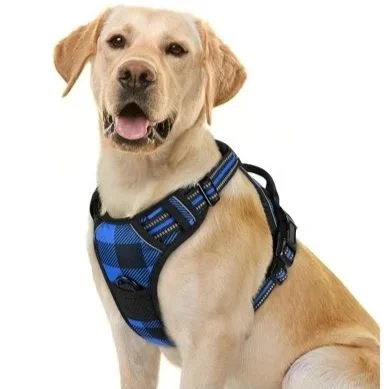 Rabbitgoo Dog Harness