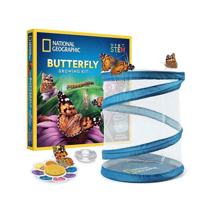 Butterfly Growing Kit