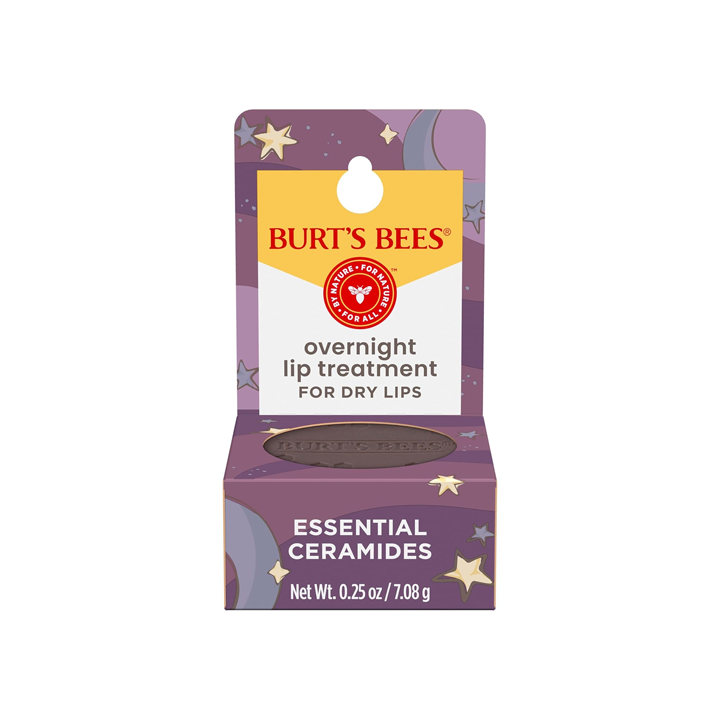 Burt's Bees Overnight Lip Treatment 