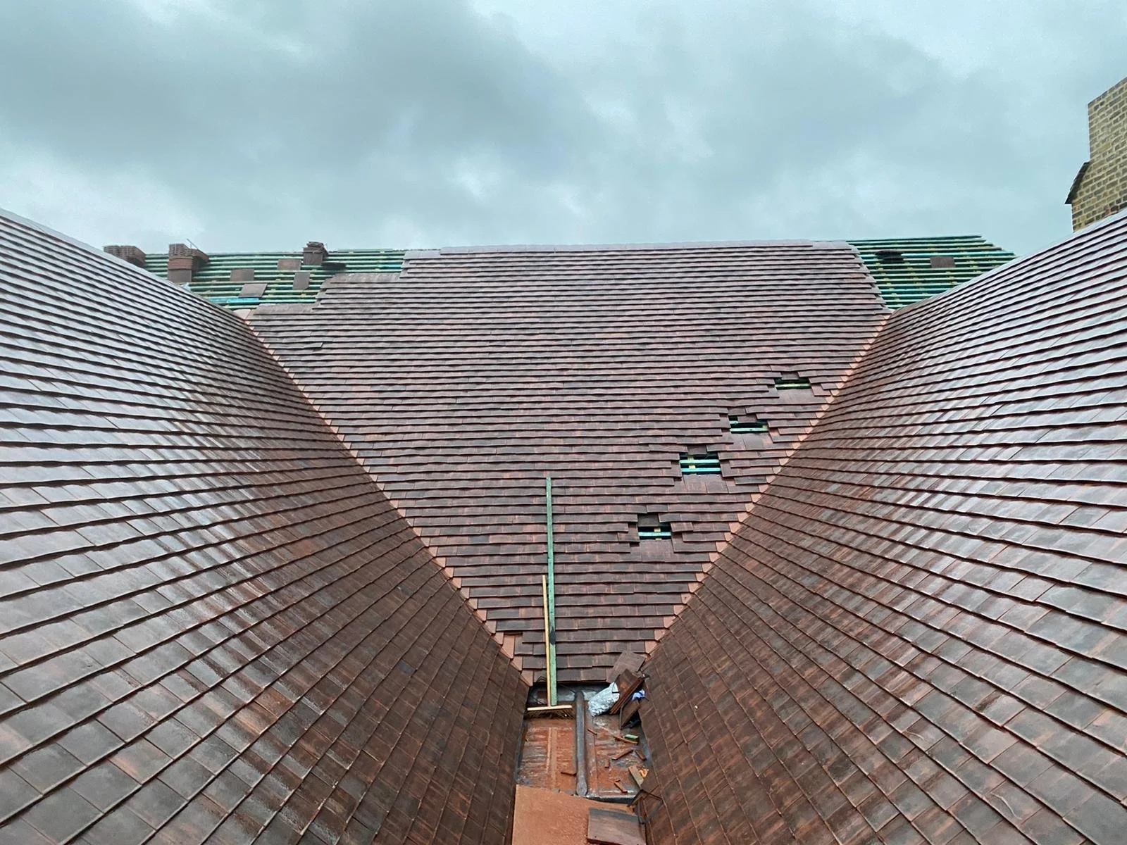 WhatsApp Image 2026-01-03 at 20.03.03.jpeg