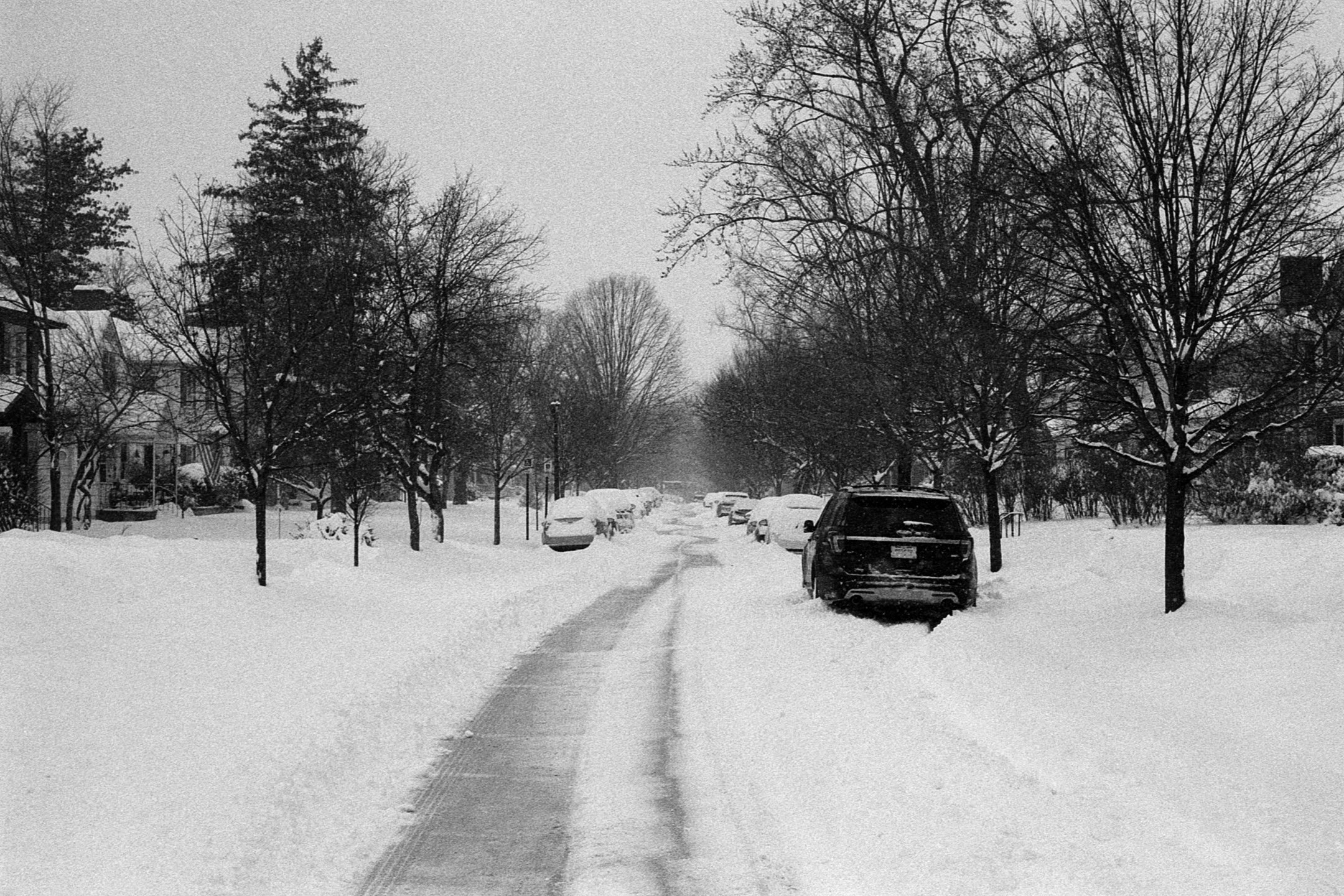 Grandview Heights Snowstorm 2026-007.JPG