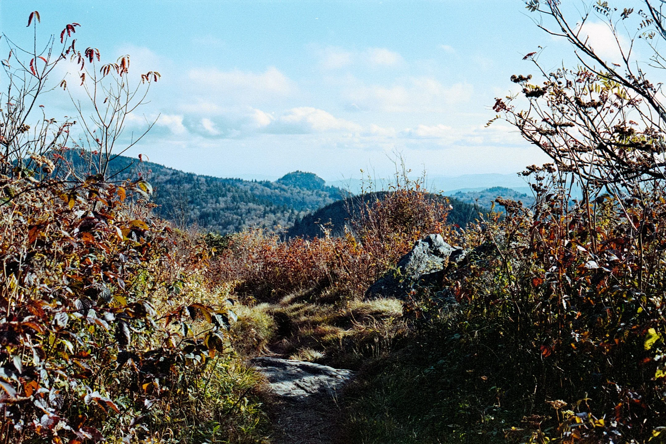 Art Loab Trail NC-007.JPG