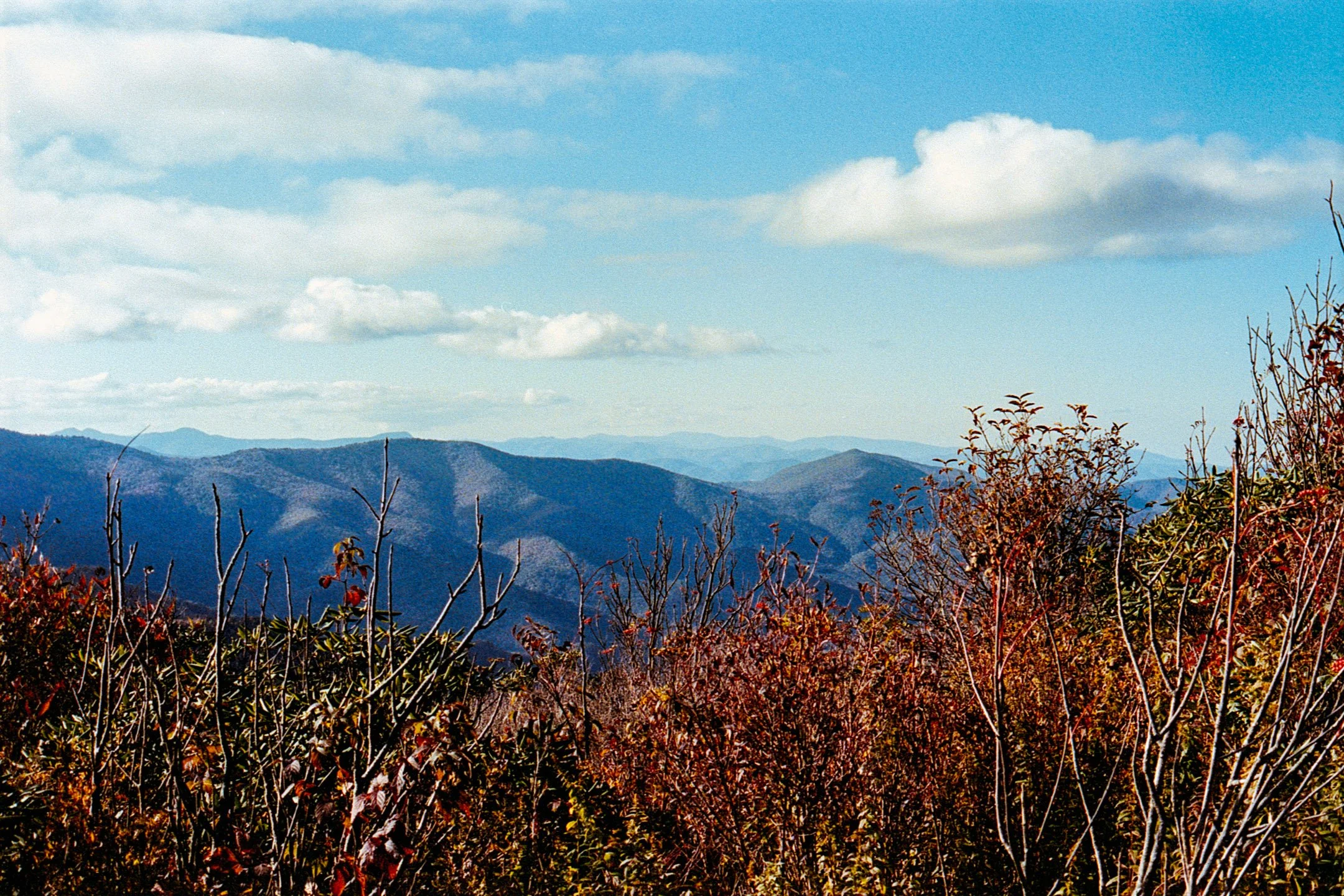 Art Loab Trail NC-005.JPG