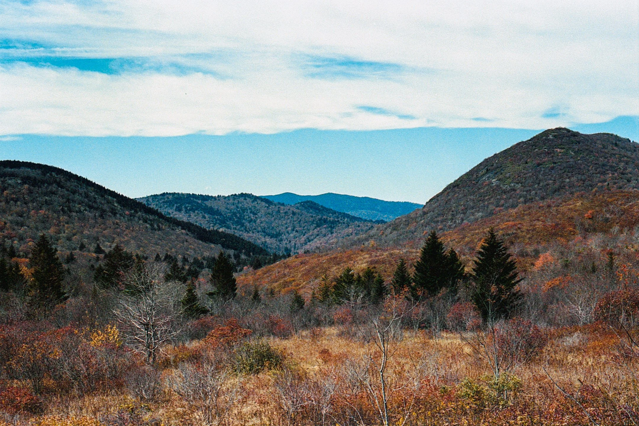 Art Loab Trail NC-009.JPG