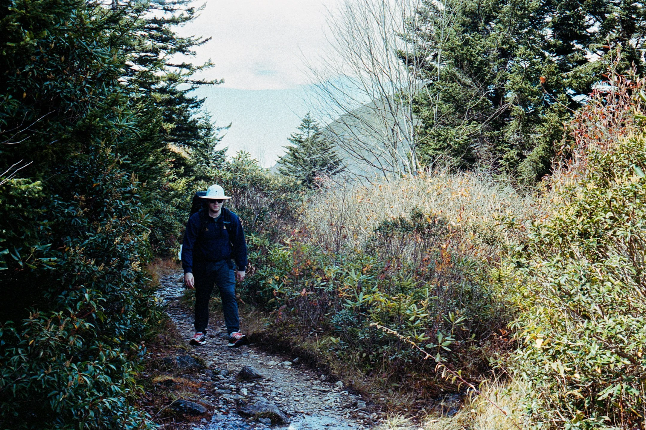 Art Loab Trail NC-008.JPG