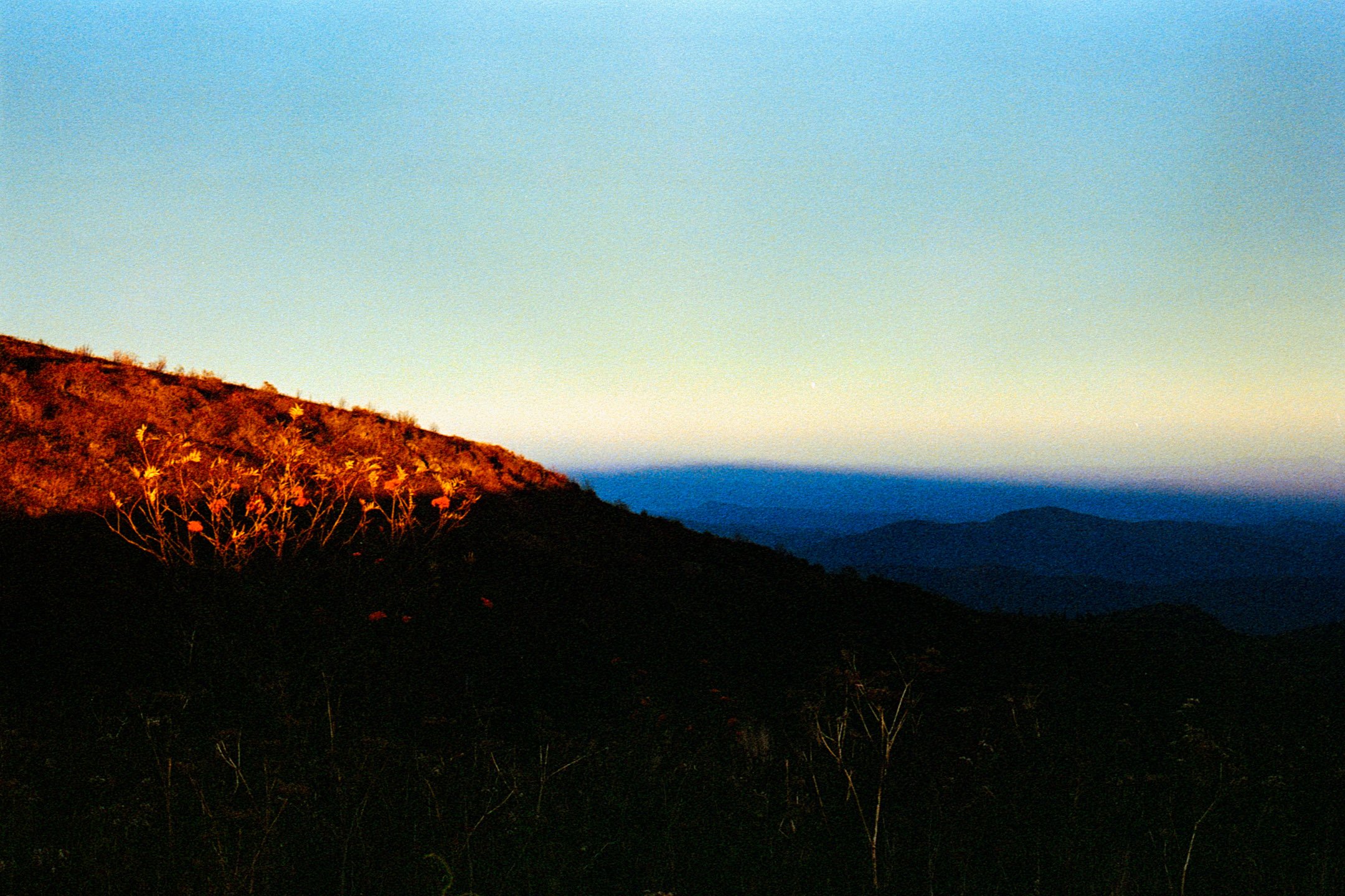 Art Loab Trail NC-023.JPG