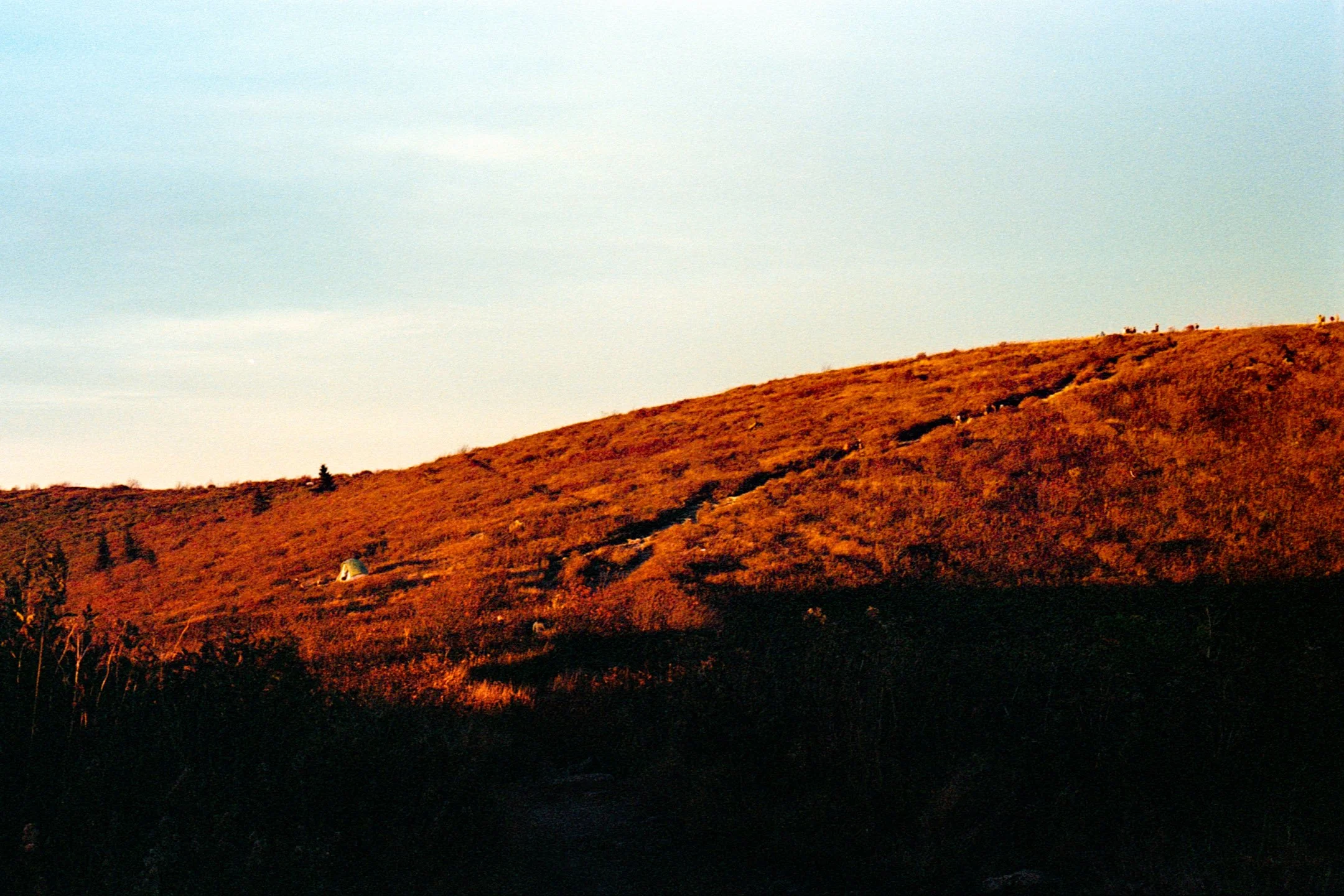 Art Loab Trail NC-024.JPG