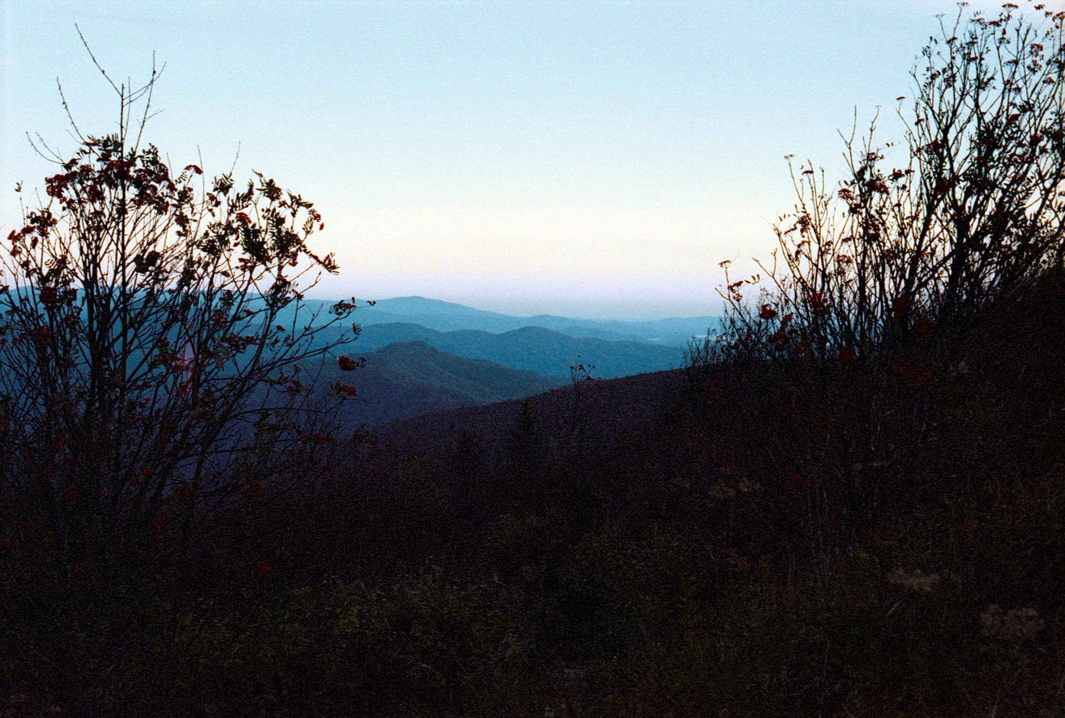 Art Loab Trail NC-041.JPG