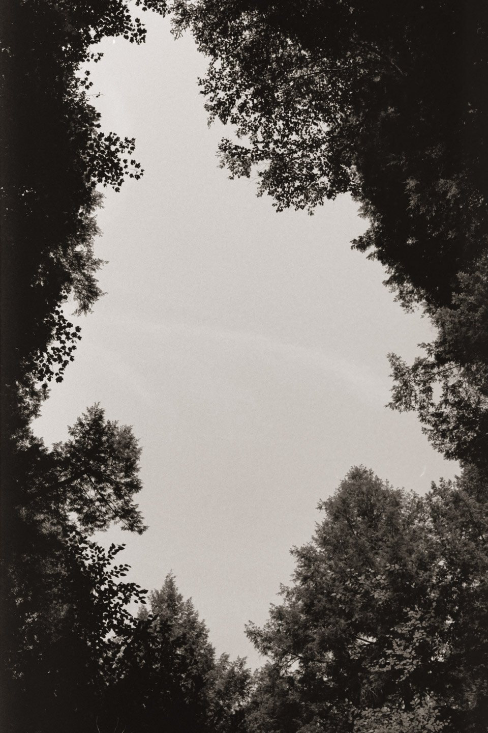 Hocking-Hills-B&W-Expired-Film-Drew-Lehman-06.JPG