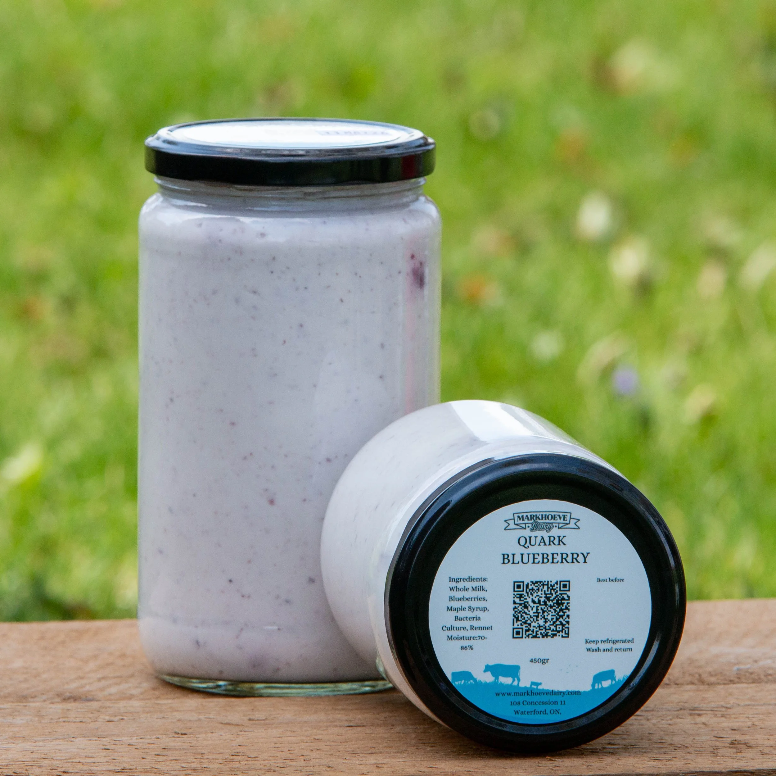 Blueberry Quark_.jpg