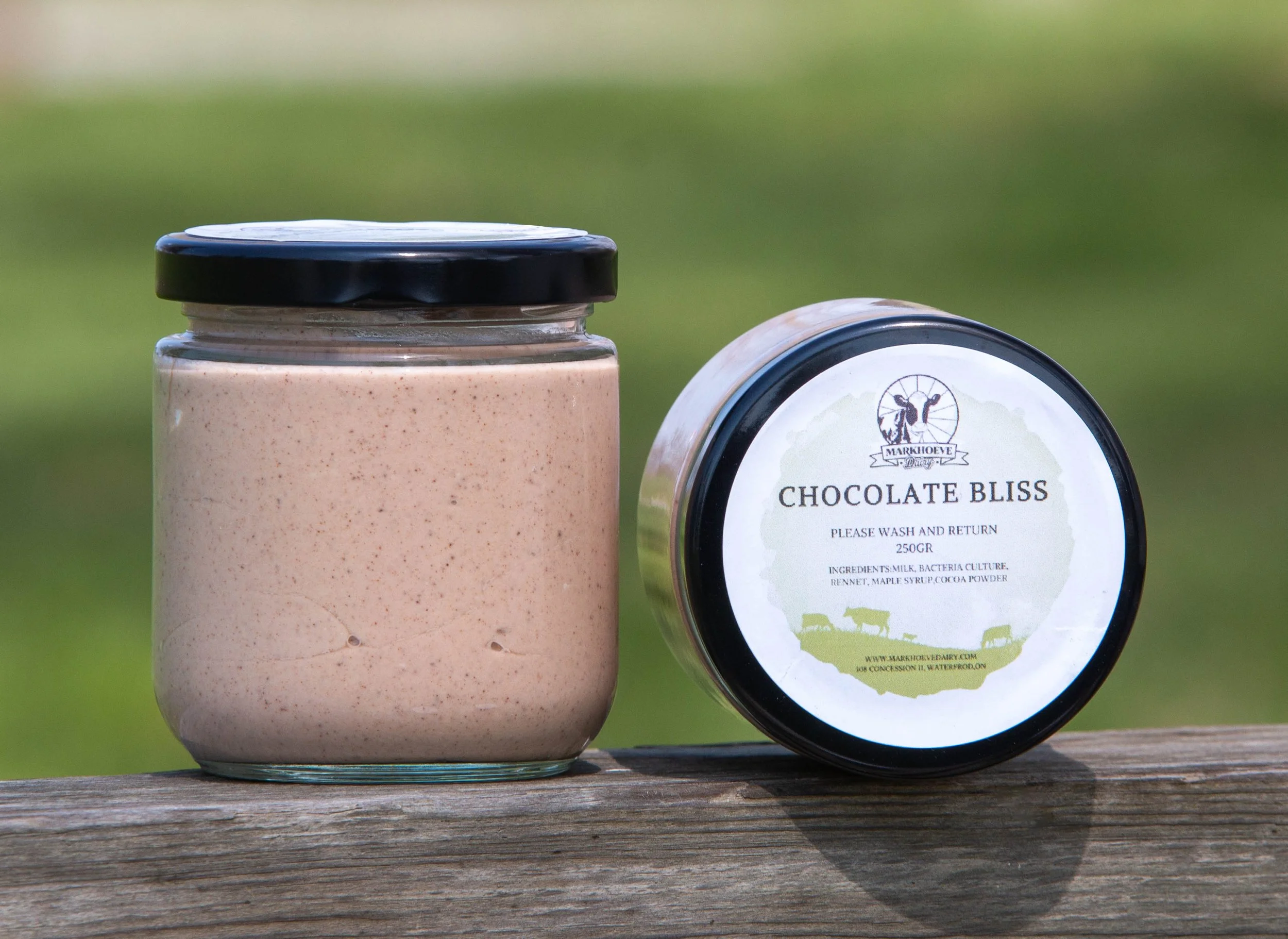 Chocolate Bliss. single.jpg