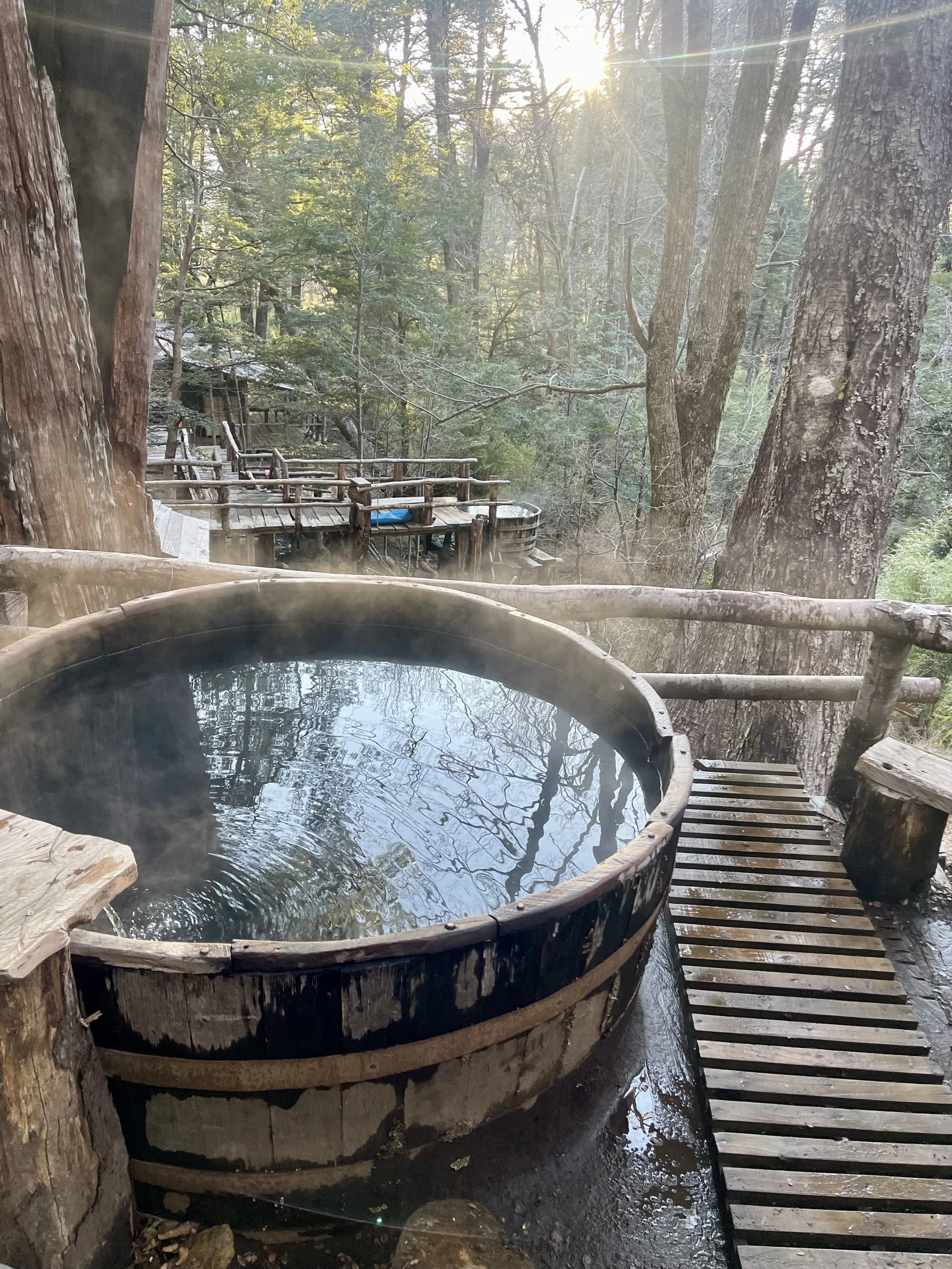 Wooden hot spring bath in a forest with tall trees, wooden walkways, and sunlight filtering through the leaves.