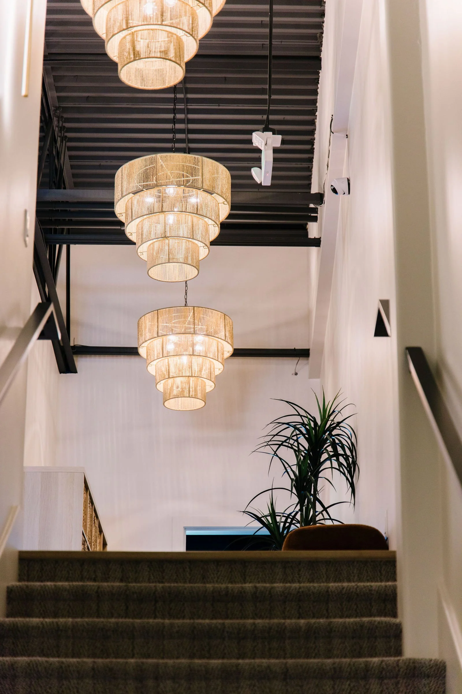 Chandelier stairwell at Salted Mountain Green