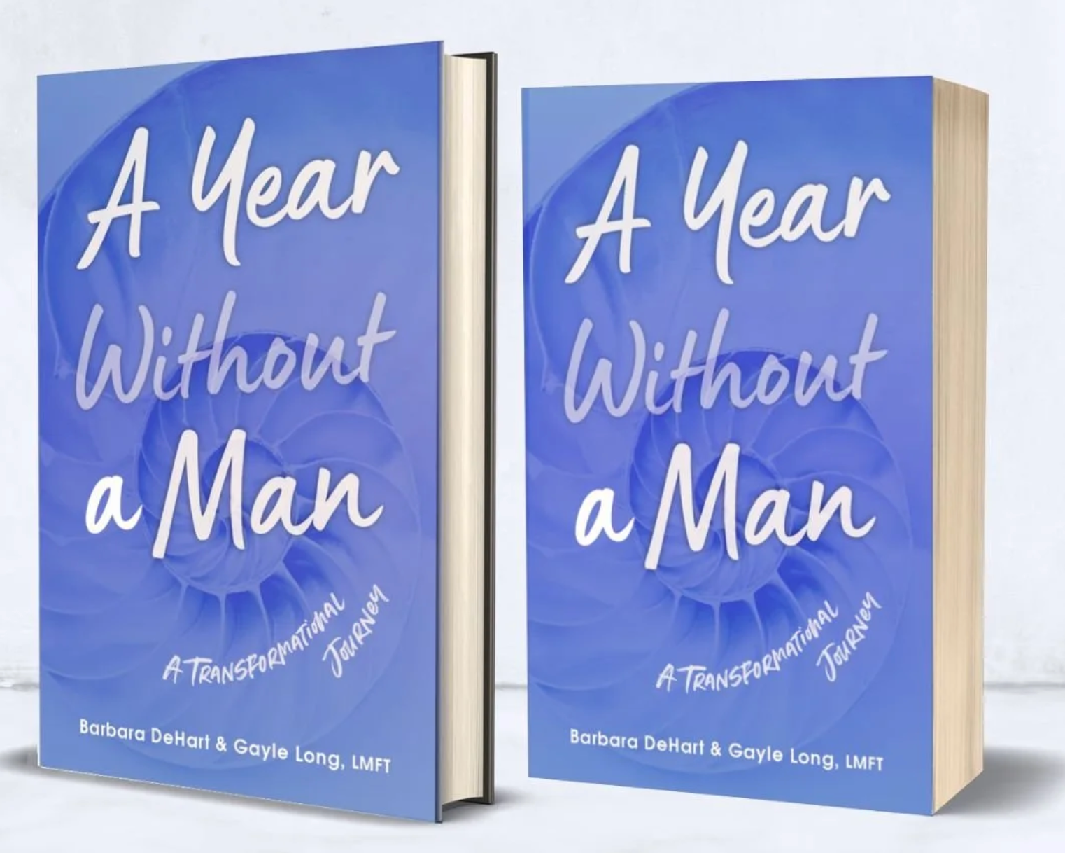 A Year Without a Man — book cover