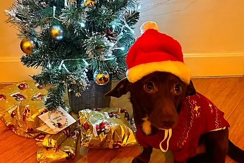      A Season for Softness &amp; Love