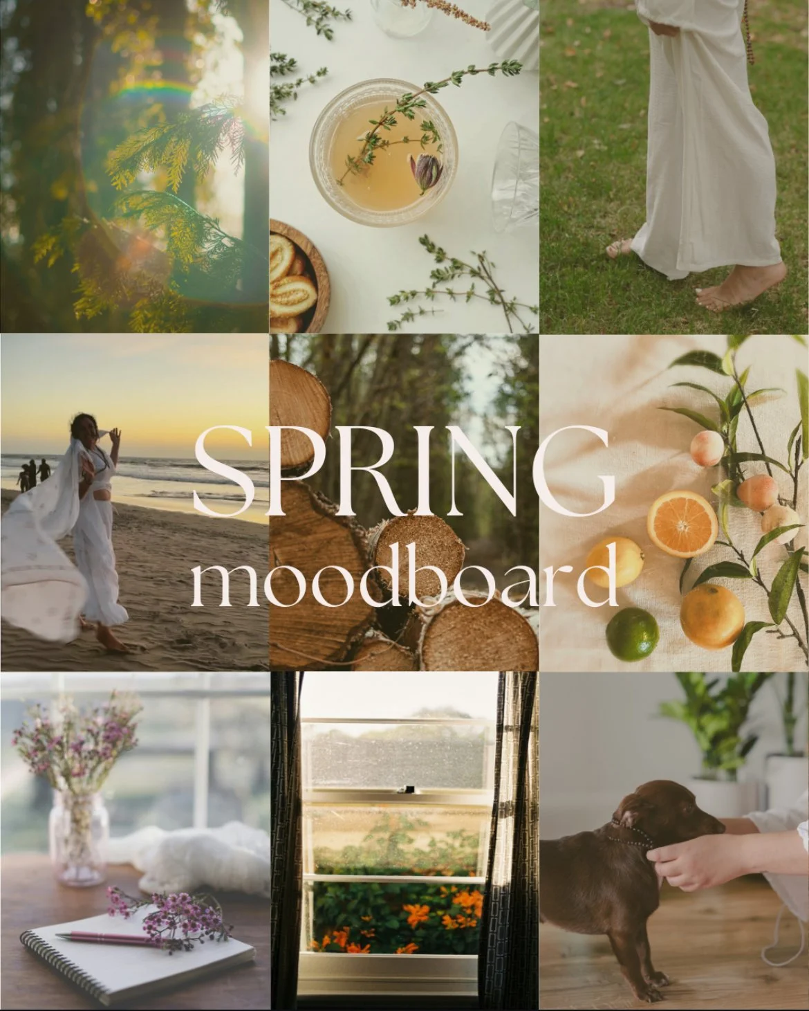 Spring: A Soft Awakening