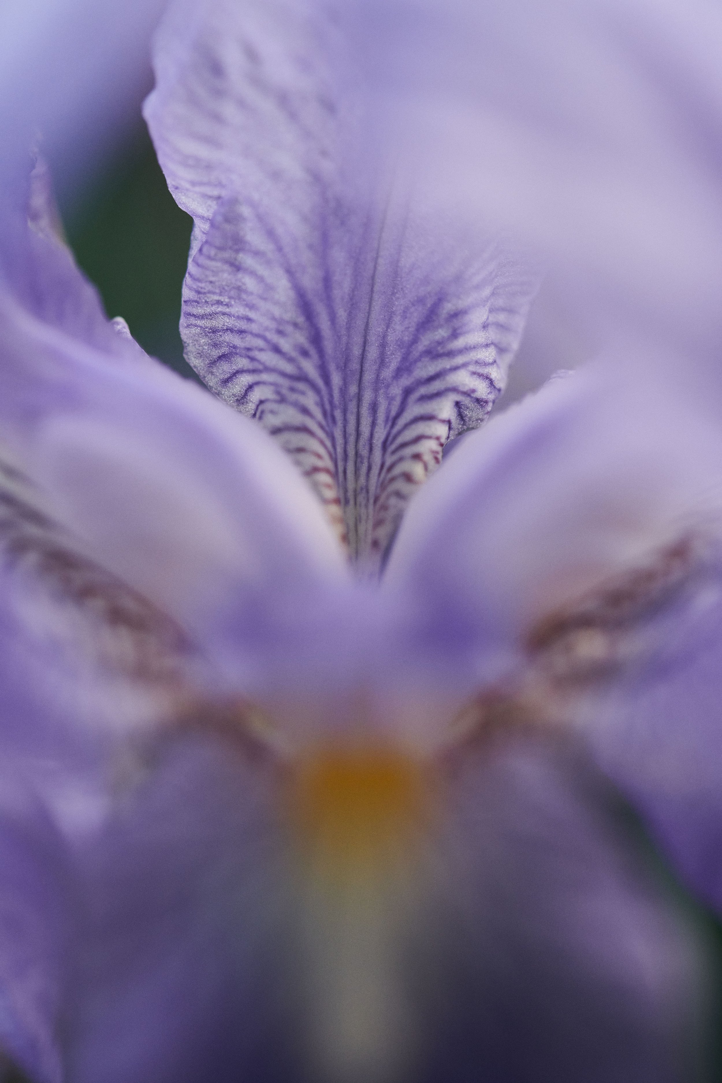 DSC_4971.jpg
