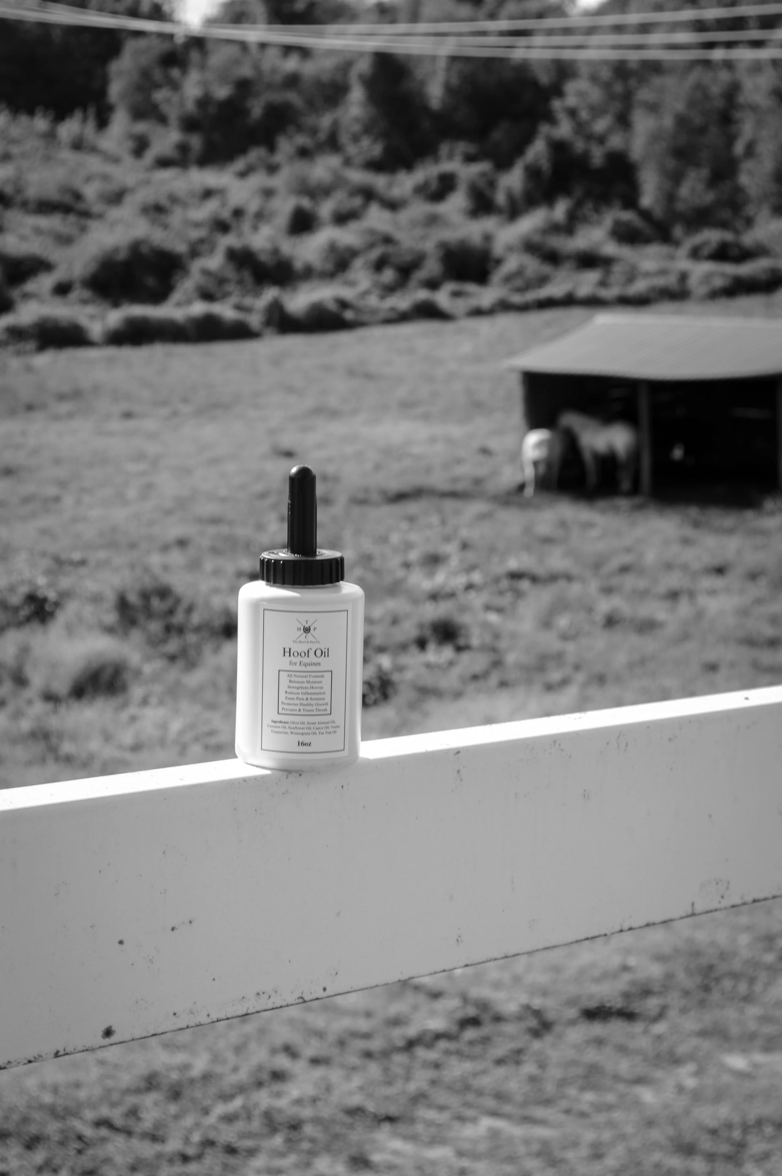 DSC_0283.jpg