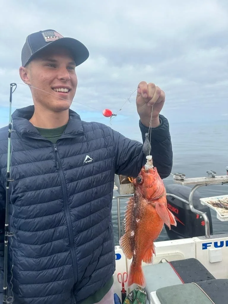 Nico Photo Jun 26 2025 (24).jpeg