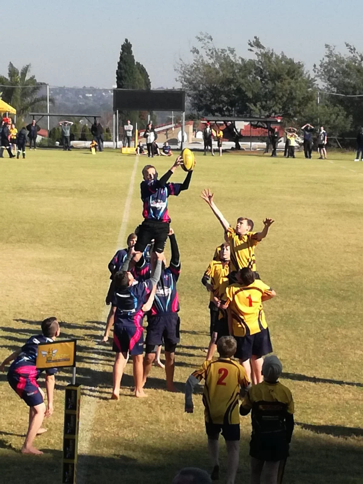 Nico Photo Jun 26 2025 (21).jpeg