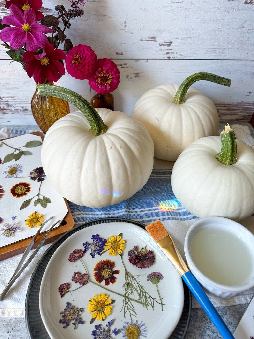 pressed-flower-decorated-pumpkins-leaves-botanical-diy-sustainable-fall-craft-supplies.jpg