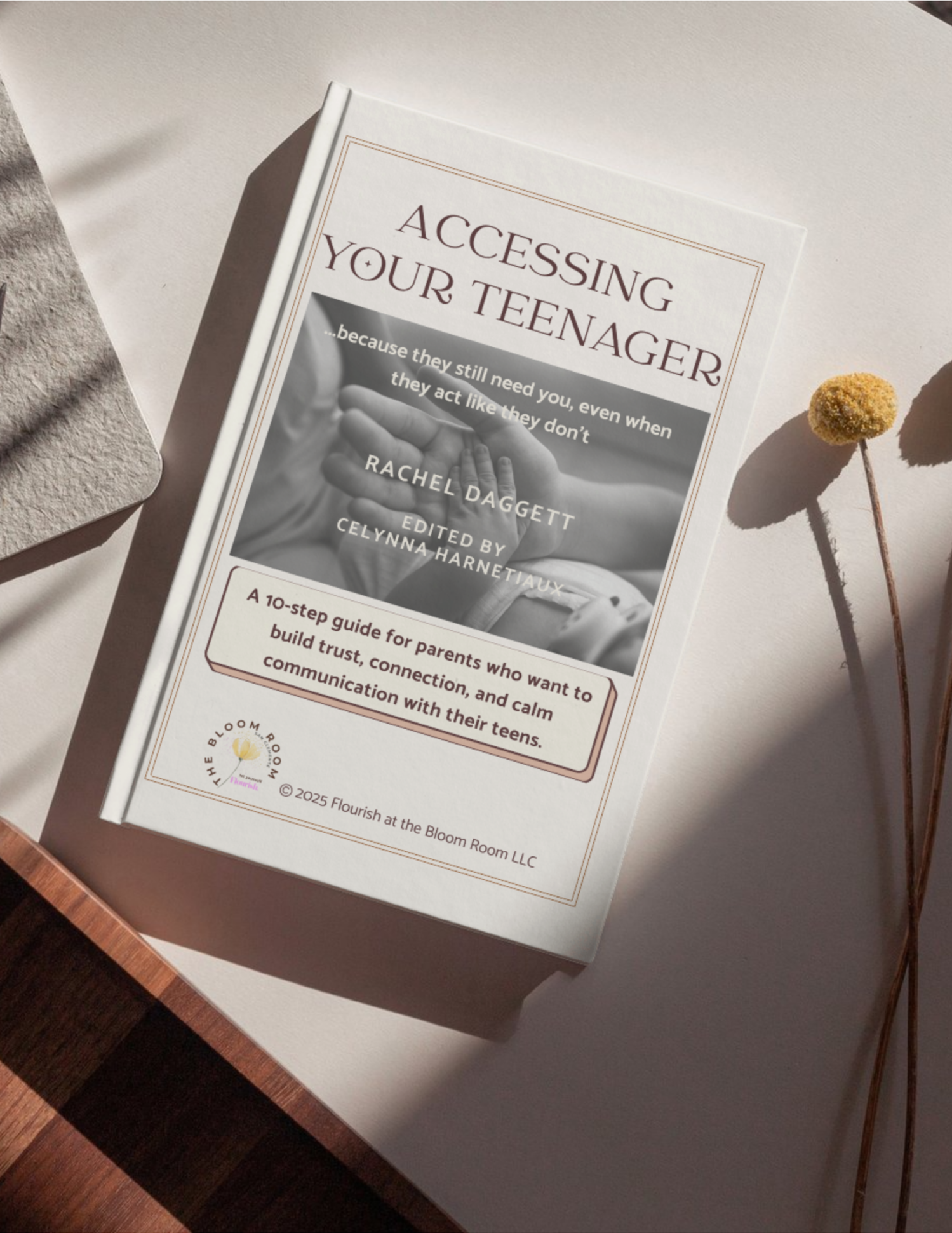 Accessing Your Teen Guidebook - Hardcover