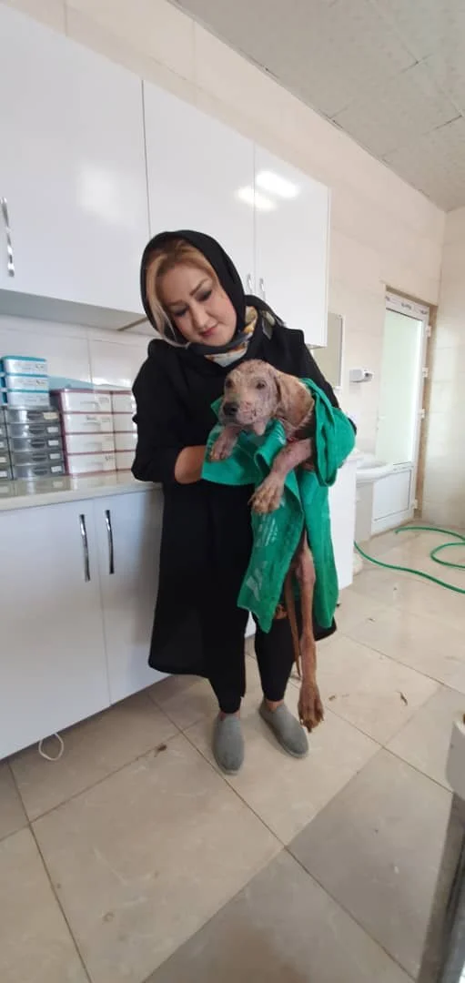 WhatsApp Image 2025-09-07 at 04.54.32_a970674b.jpg