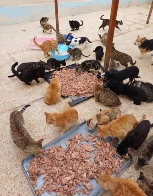 WhatsApp Image 2026-03-14 at 1.25.54 PM.jpeg