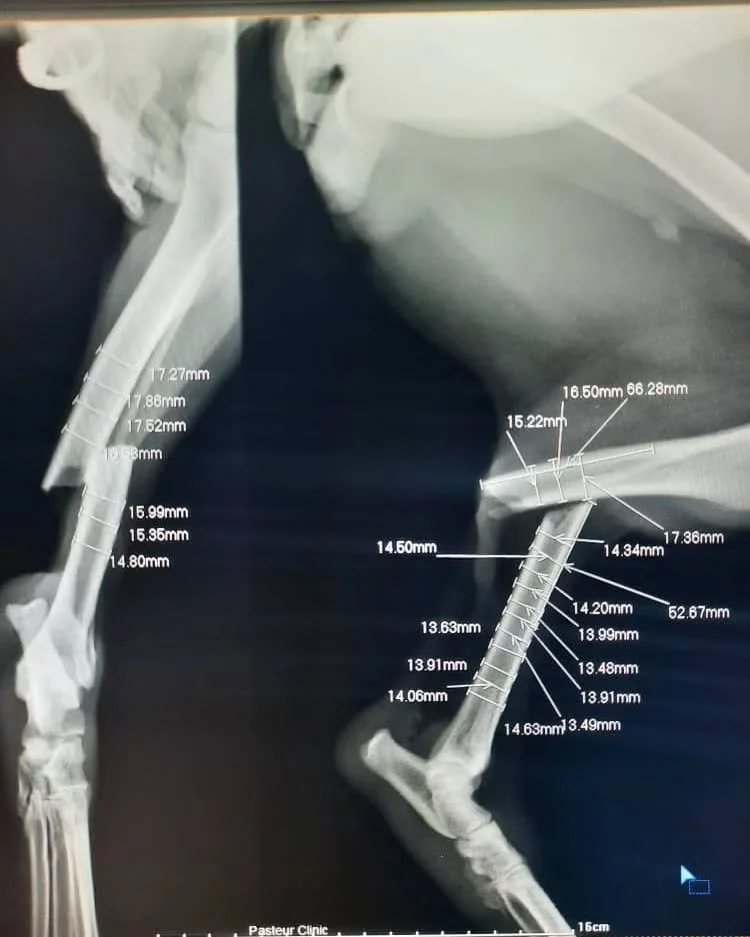 The Strength To Stand