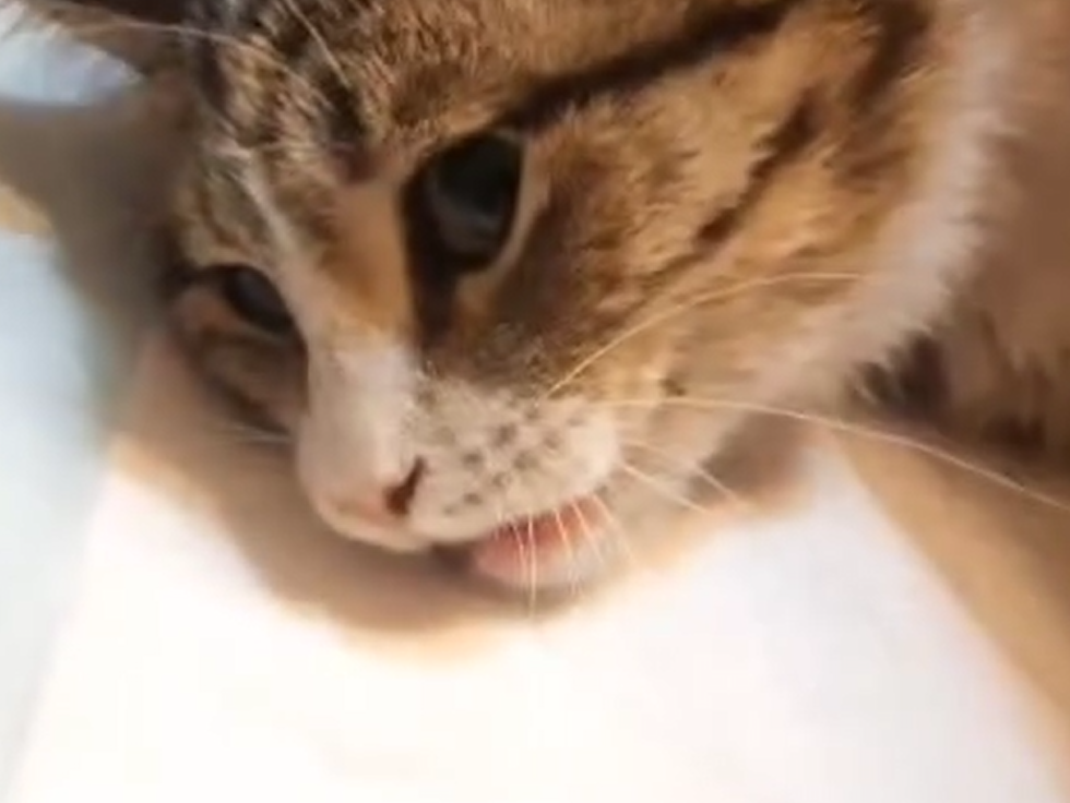 Her Fight To Survive Almost Cost Her Life