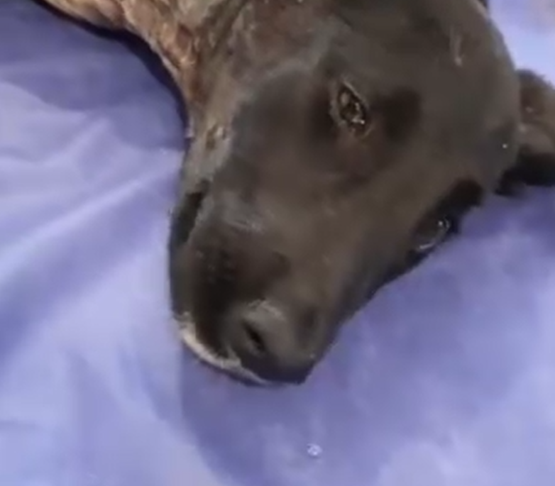 From Broken Neck To A Second Chance At Life