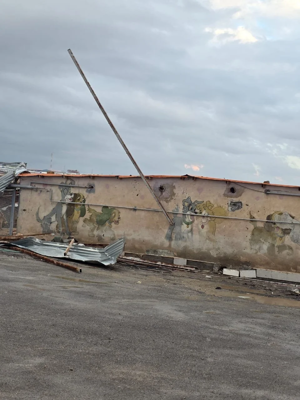 WhatsApp Image 2026-02-11 at 10.22.46 AM.jpeg