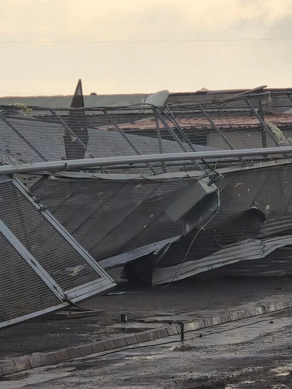 WhatsApp Image 2026-02-12 at 10.05.13 AM.jpeg