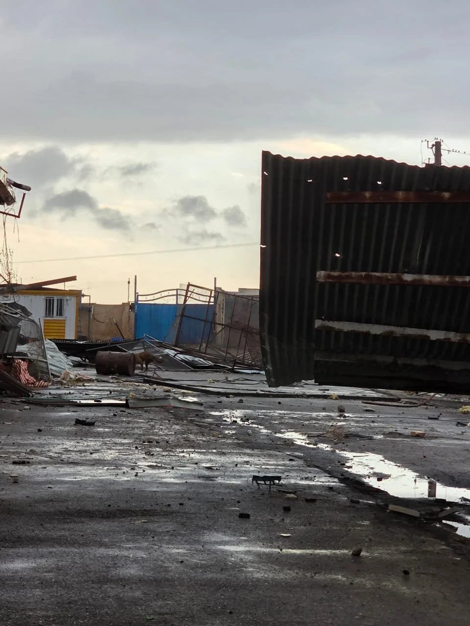 WhatsApp Image 2026-02-12 at 10.06.03 AM.jpeg