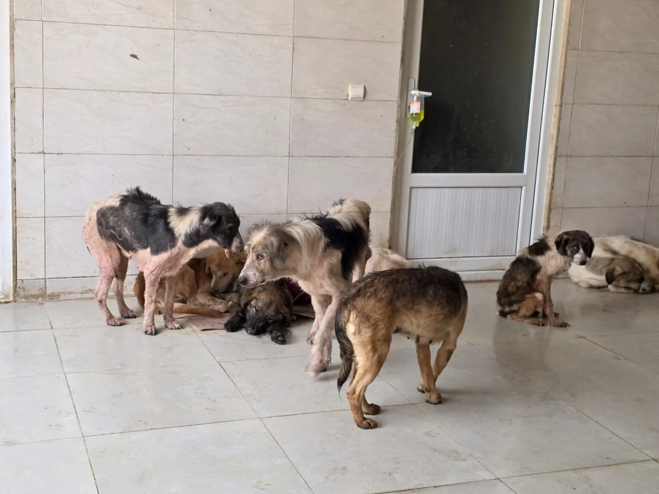 WhatsApp Image 2026-02-12 at 10.02.00 AM.jpeg